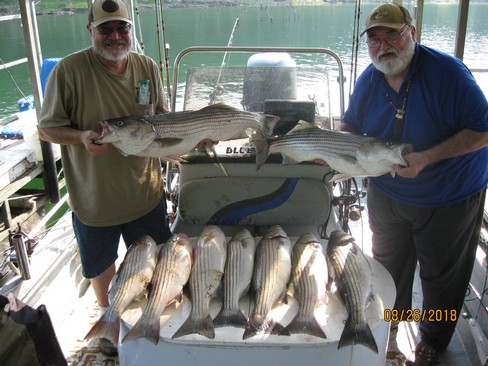 Nice Striped Bass